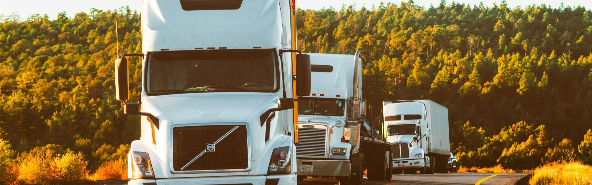 Global Cargo Shipping